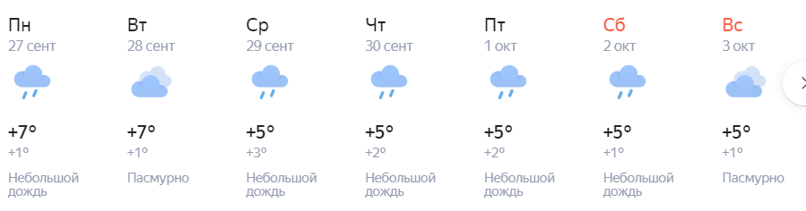Погода по дням февраль 2024. Погода меняется каждый день.
