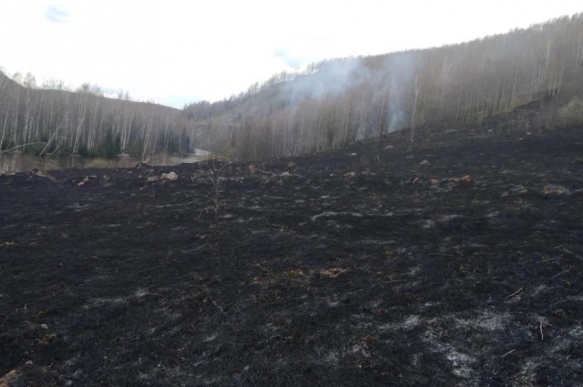 Возгорание ликвидировали сотрудники лесхоза и лесничества. 