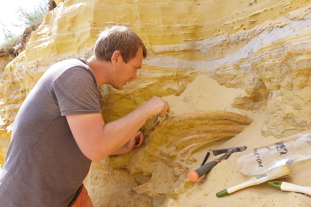 Песок создал идеальные условия для хранения костей.