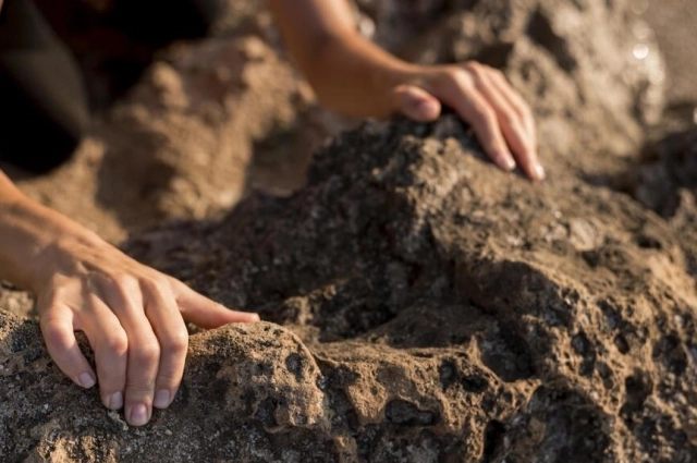 Труп убитого подозреваемый закопал в лесу.