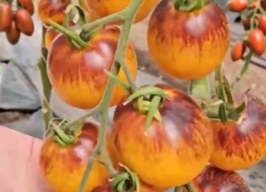 Китайский фонарик