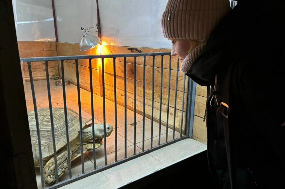 Сумма в бюджете, которая запланирована на строительство акватеррариума, – 650 млн руб