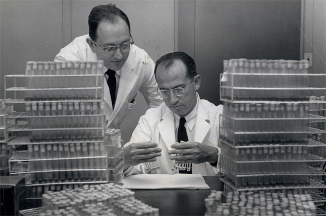 Джонас Солк (1914-1995)- вирусолог, создатель первой вакцины против полиомиелита.