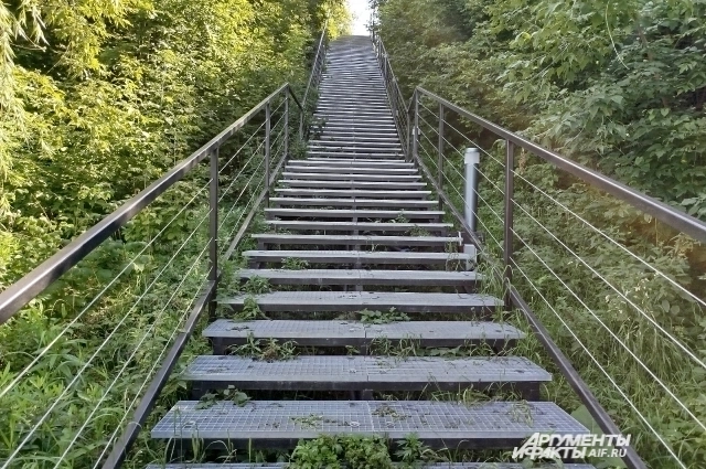 Прогулка по экотропе - это ещё и фитнес.