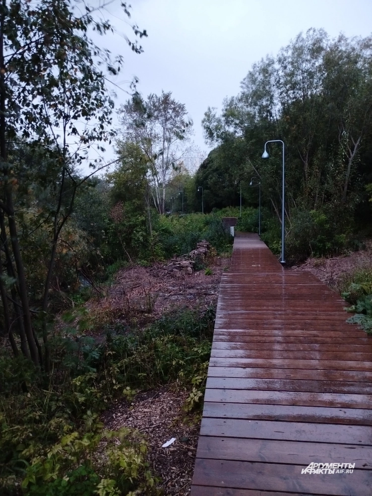 Местами на экотропах нет ограждения.