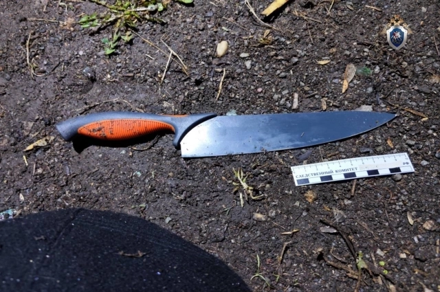Нож, которым изрезали школьника.
