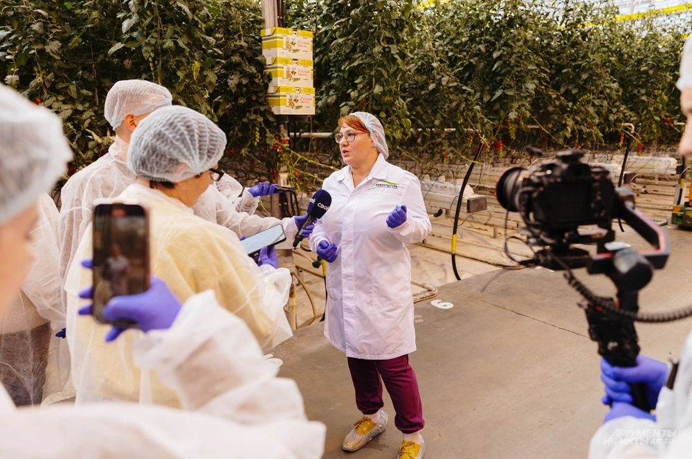 Во время пресс-тура в теплицы «Солнечного дара». 