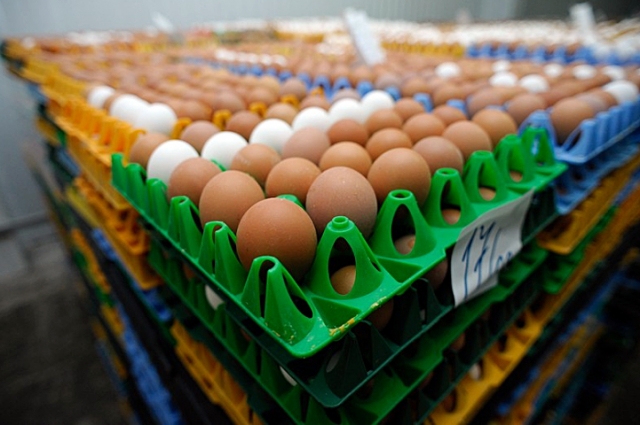 Экспорт яиц составляет треть экспорта яичной продукции РФ.