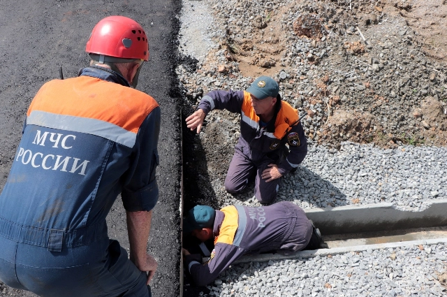 Спасатели спасли Балу