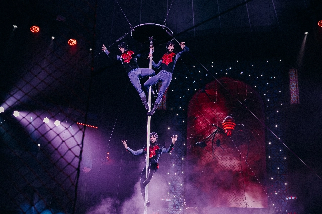 Фотоархив шоу продюсерского центра Гии Эрадзе «Песчаная сказка»