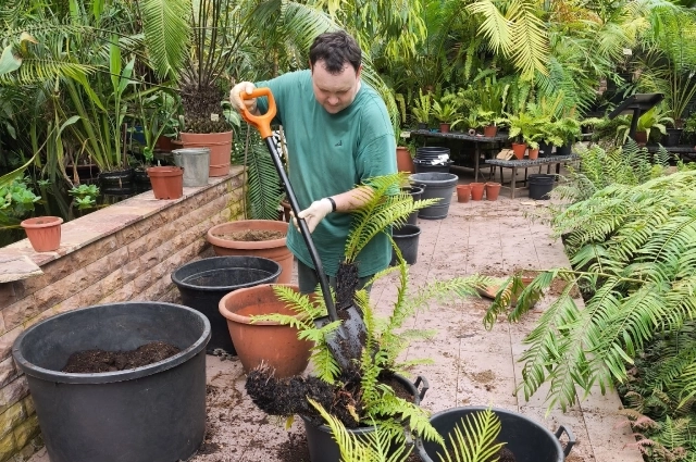 . У биолога всегда богатый урожай на дачном участке, здоровые домашние растения