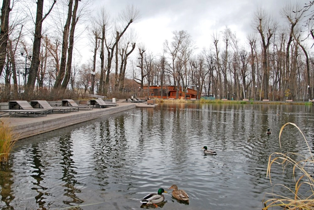 Пруд в ЦПКиО им. М. Горького.