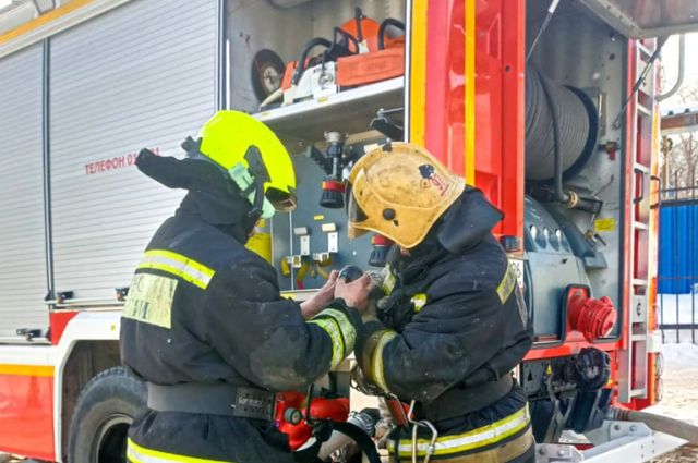Екатеринбургские пожарные спасли спасли двух котят