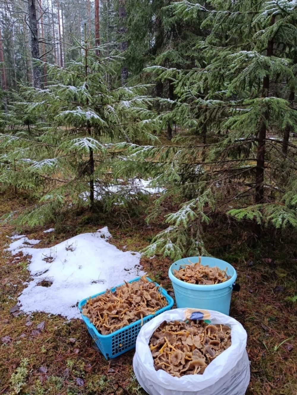 В Выборгском районе 4 декабря.
