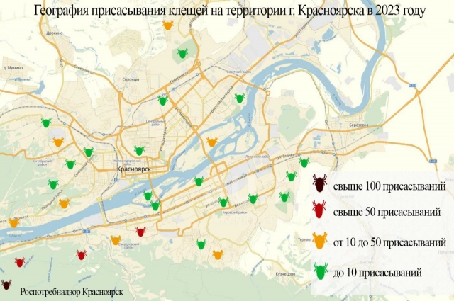 Места, где выявляли клещей в Красноярске.