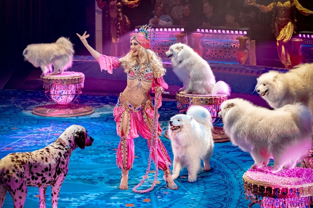 Фотоархив шоу продюсерского центраФотоархив шоу продюсерского центра Гии Эрадзе «Песчаная сказка» Гии Эрадзе «Песчаная сказка»