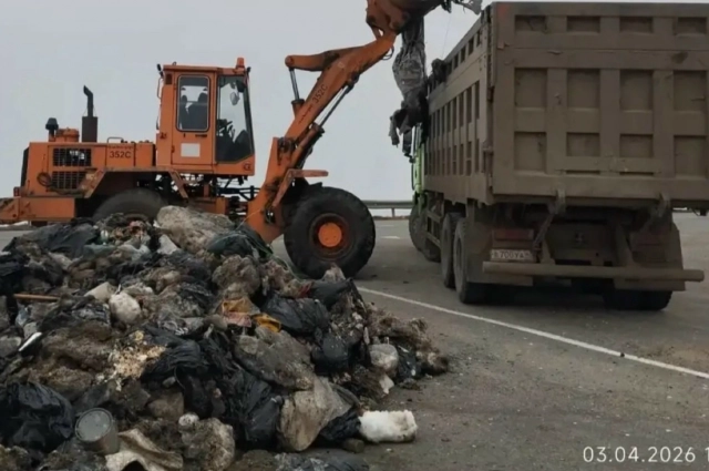 Отходы лежали у трассы с зимы.