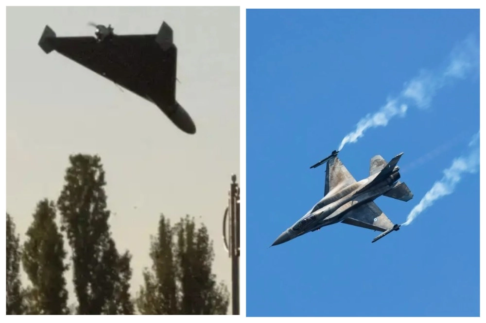 герань и F-16