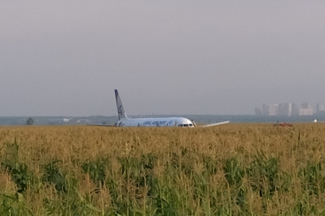 Самолёт в день приземления - 15 августа 2019 года.