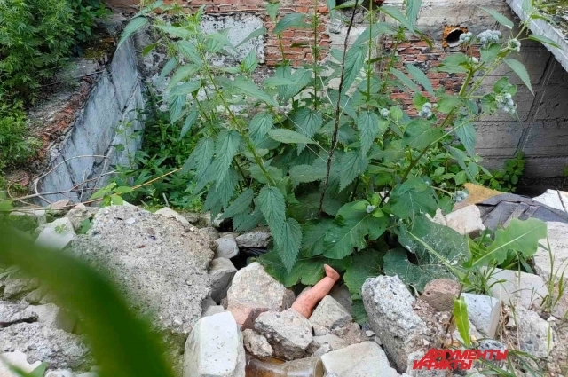 В эмоциональном плане крайне сложно сталкиваться с фактами преступного поведения в отношении детей.