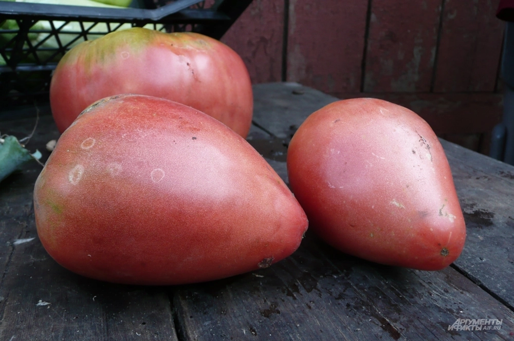 Розовый мёд.