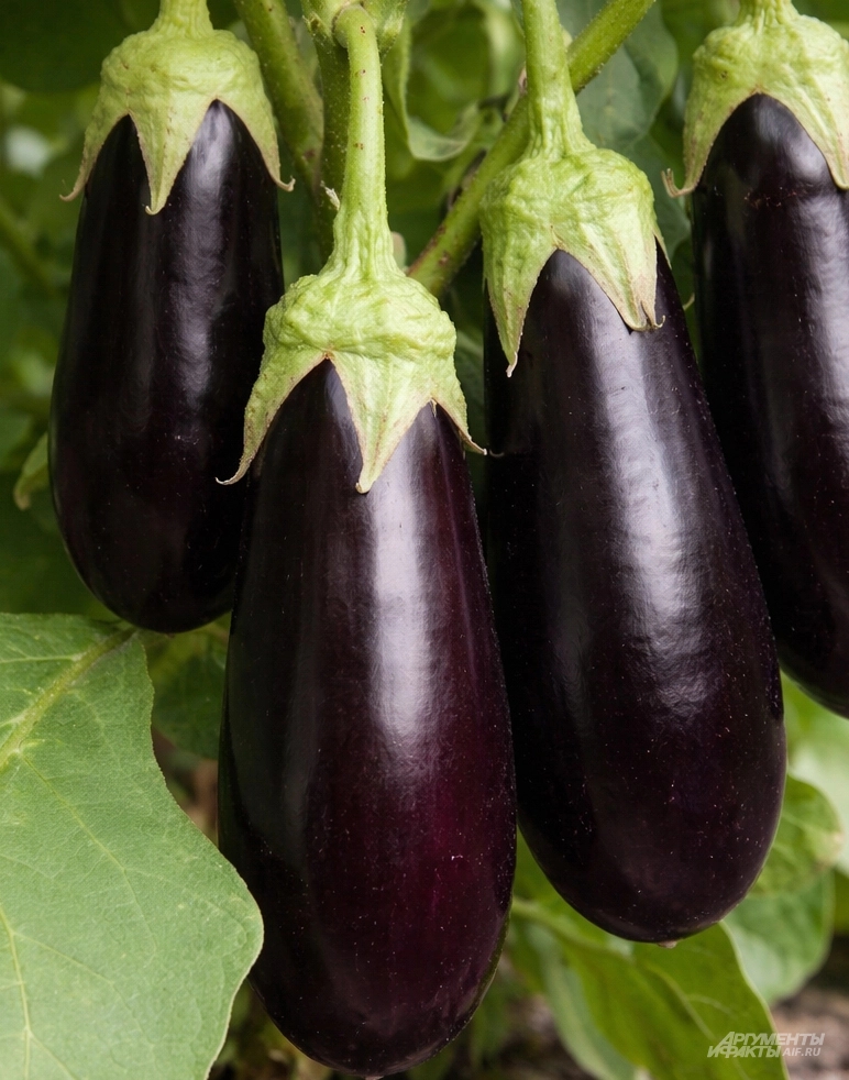 Алексеевский.