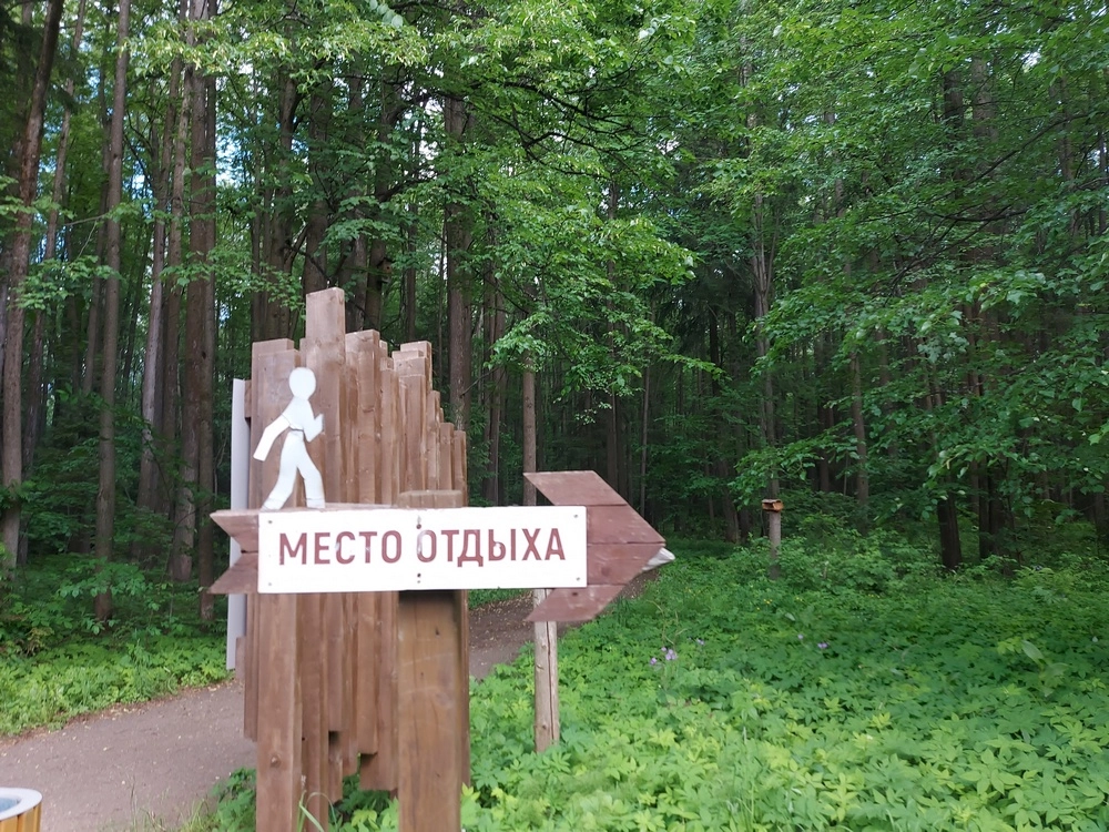 Липовая гора