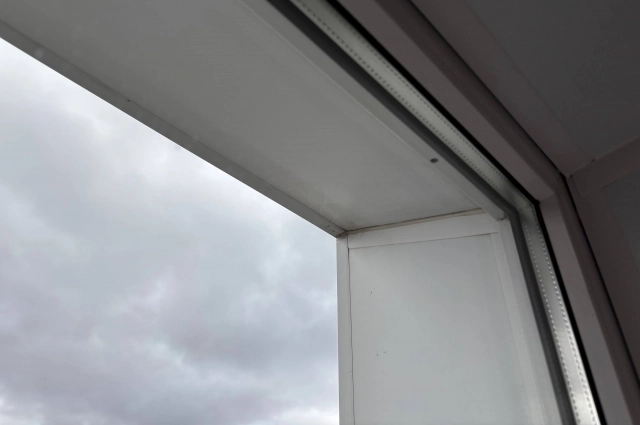 Самое главное - не паниковать.