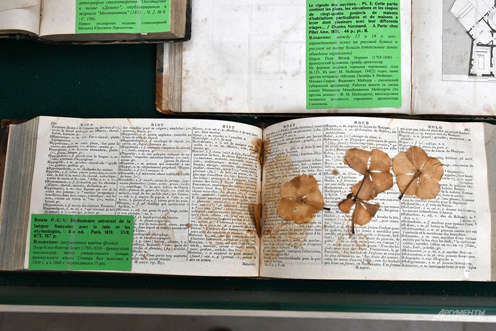 Засушенные цветки флокса были вложены в словарь французского языка, выпущенный в 1819 году.