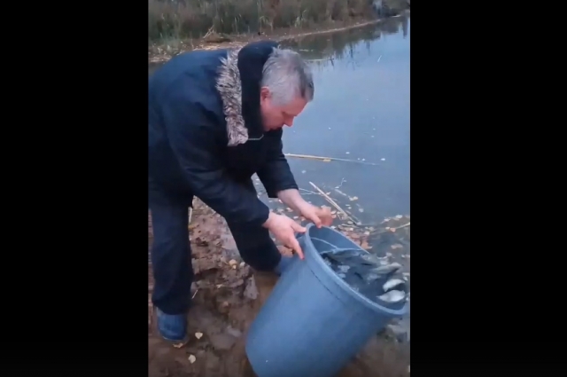 Опыт в рыбоводстве у Юрия Баранова есть - в двух прудах он разводит карпов.