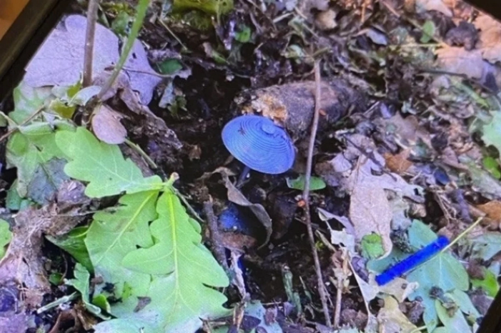 мины-грибы, мина гриб, мины ВСУ, 