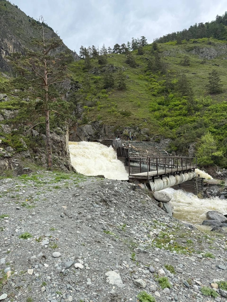 Паводок на Алтае.