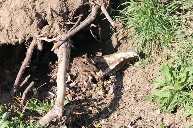 Странные находки поджидают волгодончан прямо за углом.