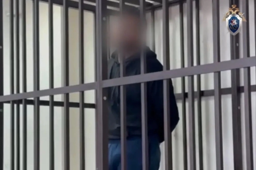 Расследование дела в отношении Кирилла Ш. окончено.