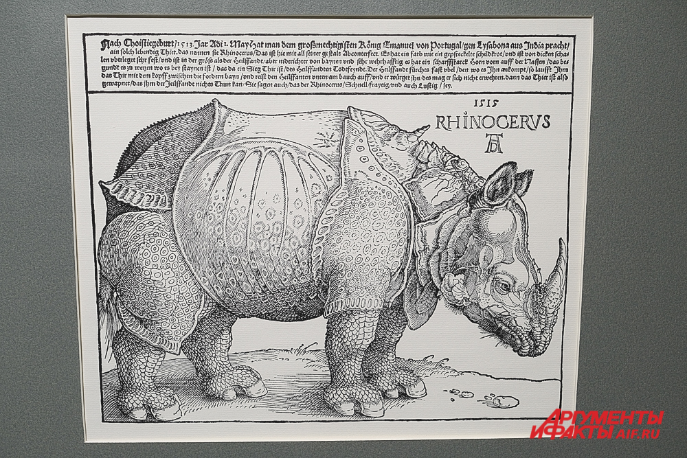 «Носорог» ксилография, 1515 г.