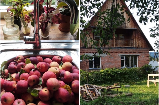 Летом семейство собирает яблоки, груши и ягоды.
