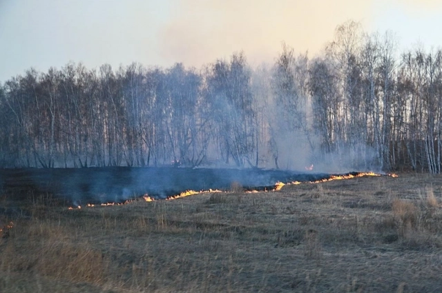 Если ваш костёр перекинется на лес или чей-то дом — ждите визита следователя.