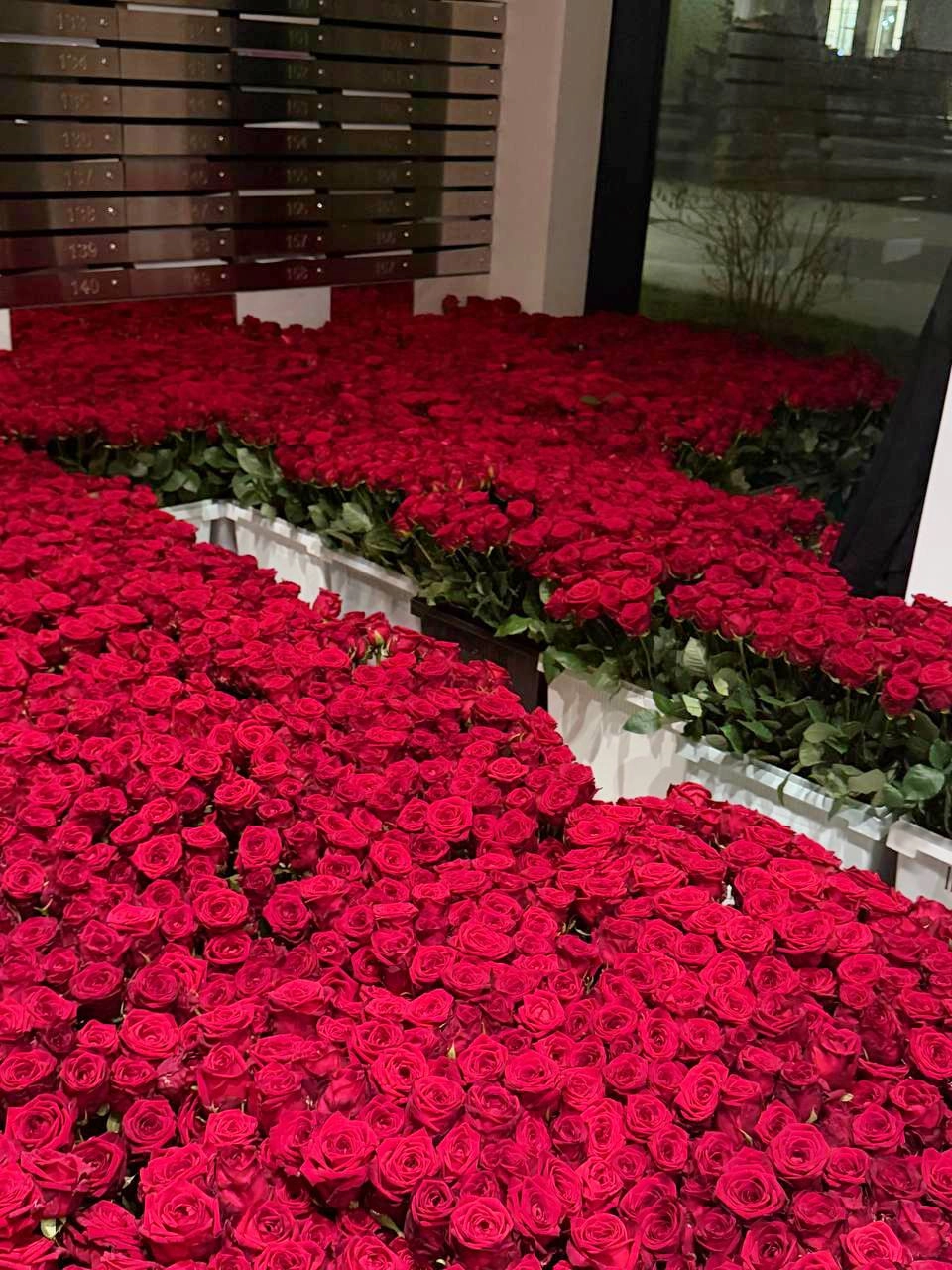 розы в московском ЖК