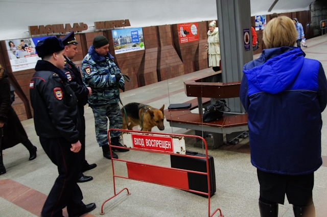 Изучение сумки заняло не более 15 минут. 