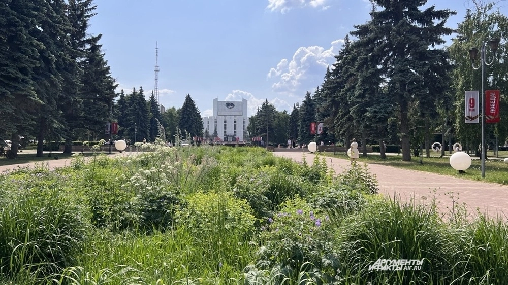 Сейчас на центральных клумбах растут многолетники.