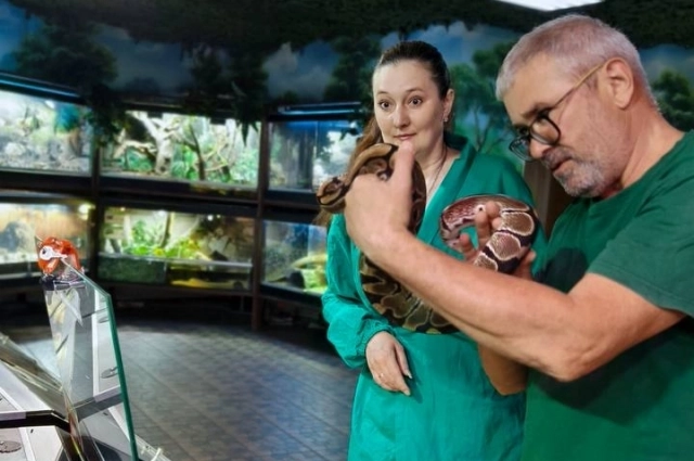 Что, серьёзно, в руки взять?