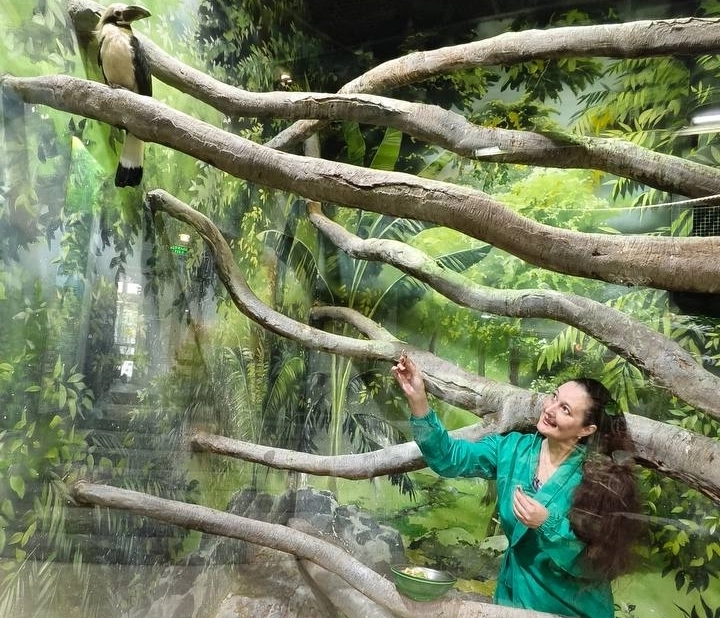 Основная часть рациона носорога - насекомые и фрукты, но с моих рук не взял.