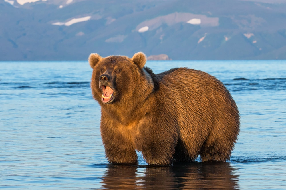 Кислородное голодание.