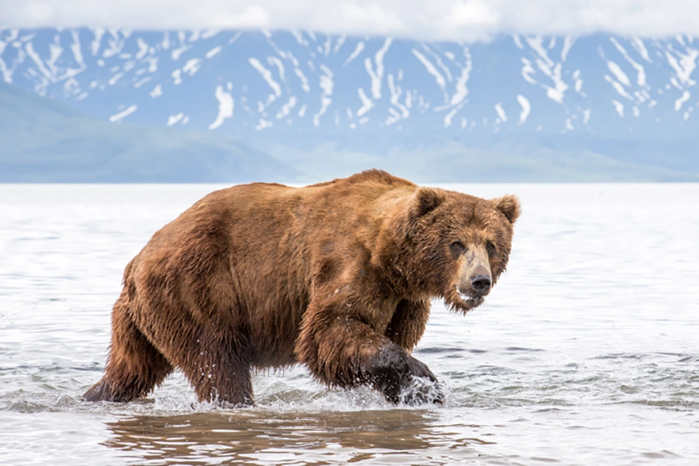 Поддержание физической формы.