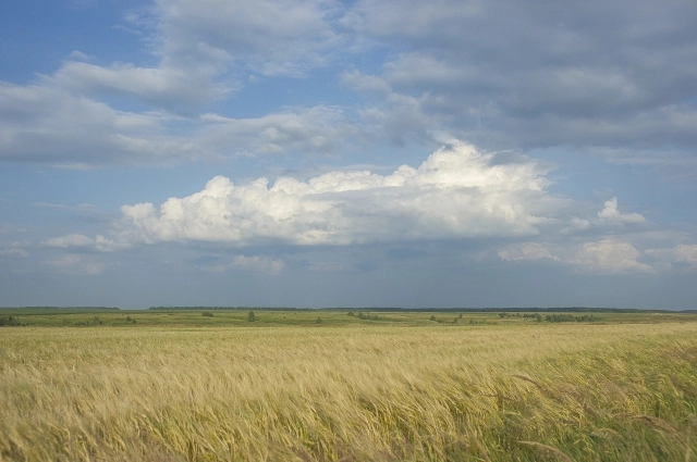 Окрестности «Тархан».