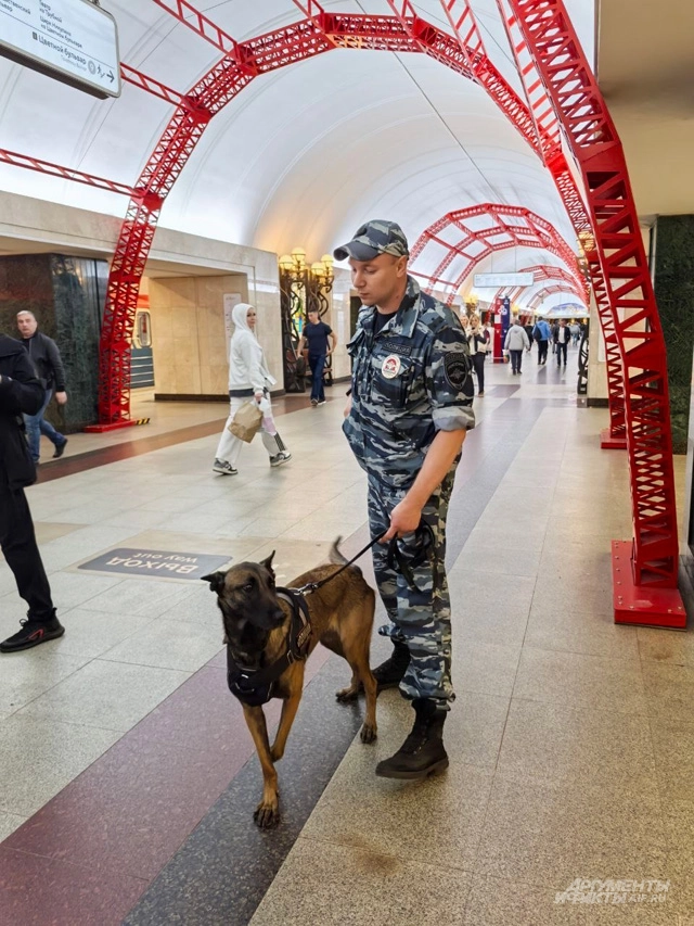 89 тысяч видеокамер. Полицейские в метро ловят правонарушителей за минуту