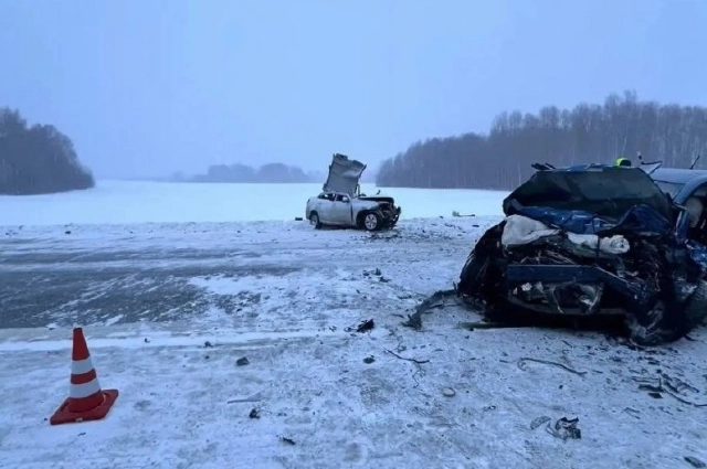 На месте аварии на трассе в Омской области.