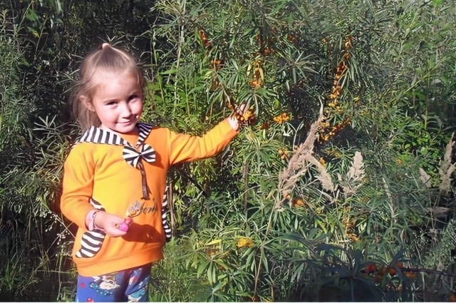 Катя Четина.