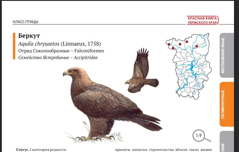 Красная книга Пермского края