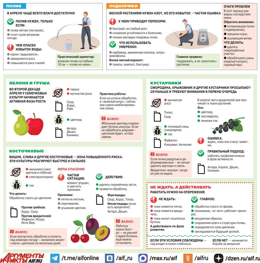 Нажмите для увеличения